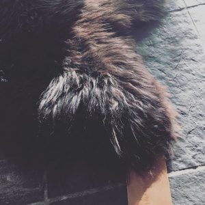 WOOOL Schapenvacht Grijs Bruin