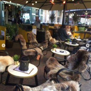 WOOOL Schapenvacht Horeca