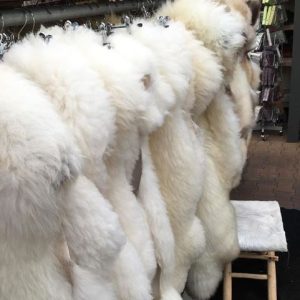 Witte Vachten