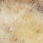 WOOOL Schapenvacht - Premium Creme (Close)