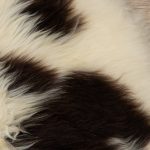 WOOOL Schapenvacht - Premium Spots (Close)