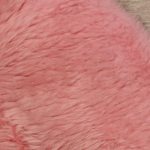 WOOOL Schapenvacht - Australisch Roze (Close)