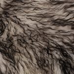 WOOOL Schapenvacht - IJslands Wit Zwart CURLY (Close)