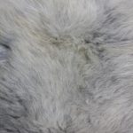 WOOOL Schapenvacht - Premium Heideschnucke (Close)