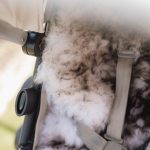 WOOOL Schapenvacht 2-in-1 Kinderwagen Buggy - WOOLA (Moeflon) - Afbeelding 4