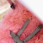 WOOOL Schapenvacht 2-in-1 Kinderwagen Buggy - WOOLA (Roze) - Afbeelding 4