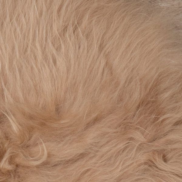 WOOOL Schapenvacht - IJslands Beige (Close)