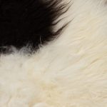 WOOOL Schapenvacht - Premium IJslands Spots (Close)