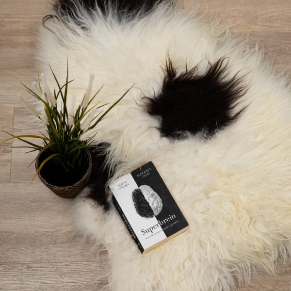 WOOOL Schapenvacht - Premium IJslands Spots (Flat Lay)